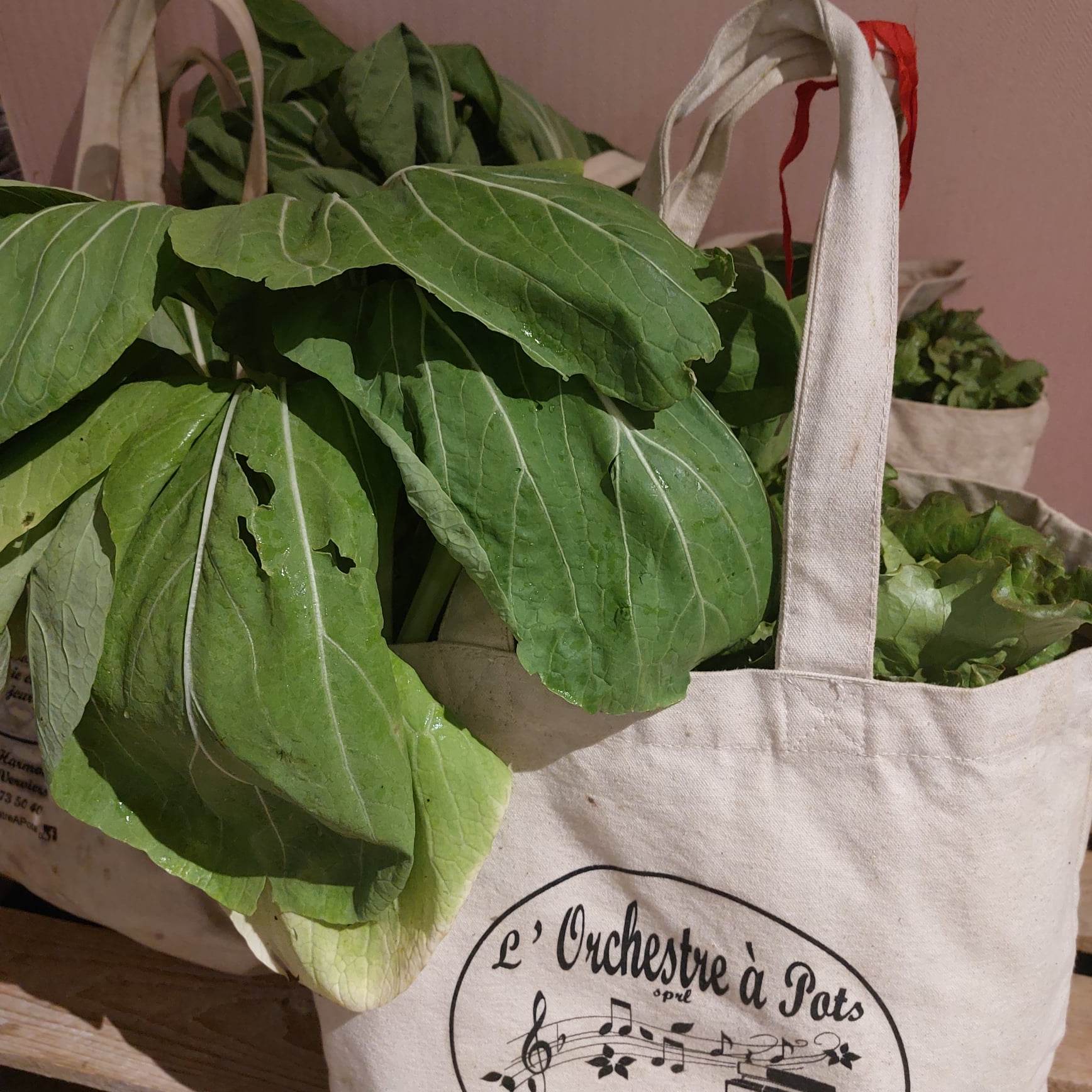 PANIERS FRUITS ET LEGUMES INVENTTERRE