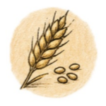 Gluten