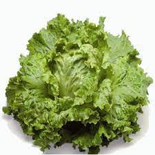 carottes
